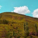 ییلاق سیلوانا