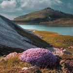 ییلاق سیلوانا