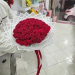 گل فروشی پلاریس