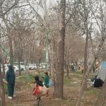 پارک جنگلی گلستان