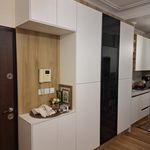 پیمان تیموری