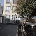 دکتر محمد تاج الدین