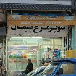 بابل طیور