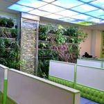 کلینیک تخصصی ذهن برتر ایرانیان