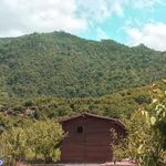 هتل زیارت گرگان ⭐⭐