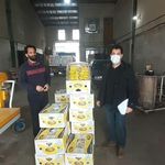 بازار میوه و  تره بار