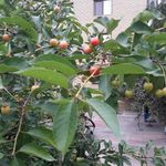 خوابگاه گودرز بانک ملی ایران