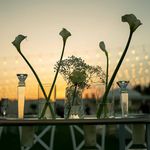باغ تشریفات اریسا ( غرب تهران )