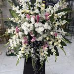 گل سرای پامچال
