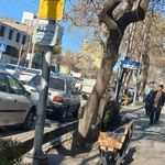 ایستگاه اتوبوس آیت الله عبادی 31