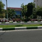 پیتزا ۲۰۰۰
