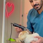 کلینیک دامپزشکی تریتامیرداماد