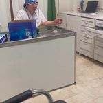 کلینیک دامپزشکی تریتامیرداماد