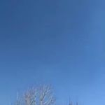 باغ تشریفات اریسا ( غرب تهران )