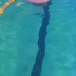 شناگرشو تیم تخصصی آموزش شنا کودکان