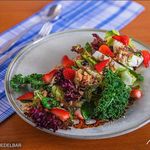 کافه حوالی دلبر