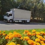 باربری آرین بار