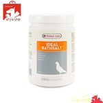 پت شاپ آنلاین یونیک پت