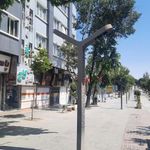 هتل کاج