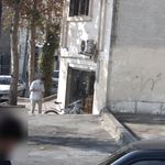 پیرایش قصر