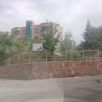 مجتمع نگین