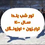 آژانس فرنودگشت سامان