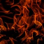 طراحی سایت پزشکی و شرکتی با سئو تضمینی