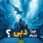 شرکت هواپیمایی اوج موج دریا