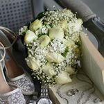 استودیو رامان