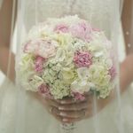 استودیو رامان