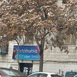 مجتمع دخترانه ایران من