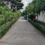 مجتمع آموزشی, رفاهی نارنجی