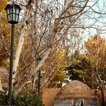 کافه سنتی شاهکار