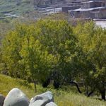 روستای تاریخی صور (دهکده معماری صخره ای)