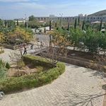 دانشگاه فسا