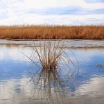 تالاب قره قشلاق