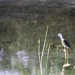 تالاب قره قشلاق