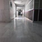دانشکده دندان پزشکی یزد