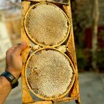 عسل طبیعی امیر بامداد