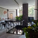 رستوران هاستر هات داگ