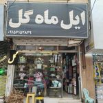 گلسرای کاملیا