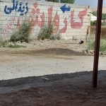 کارواش زینالی