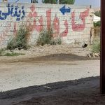 کارواش زینالی