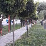 بوستان شورا