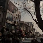 فروشگاه سموم کشاورزی نادری