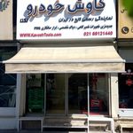 برق خودرو امیر