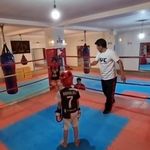 مجموعه ورزشی کیک بوکسینگ البرز