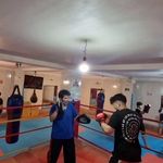 مجموعه ورزشی کیک بوکسینگ البرز