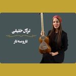 آکادمی بین المللی موسیقی پایا