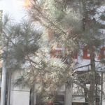 بانک کشاورزی شعبه حکمت